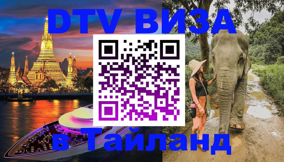 Оформление DTV визы под ключ: стоимость и тарифы, только загранпаспорт - 19.11.2025 